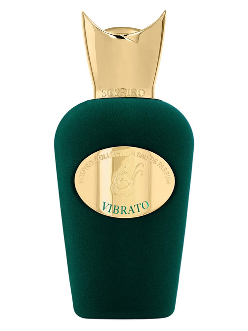 ACE Perfume for Men | TheAneesh Perfumes