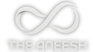 The Aneesh