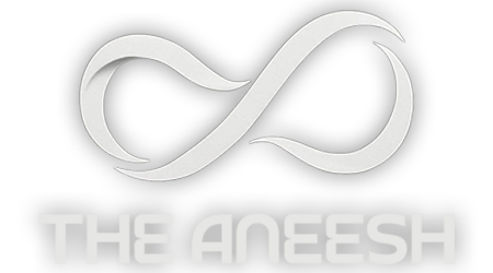 The Aneesh